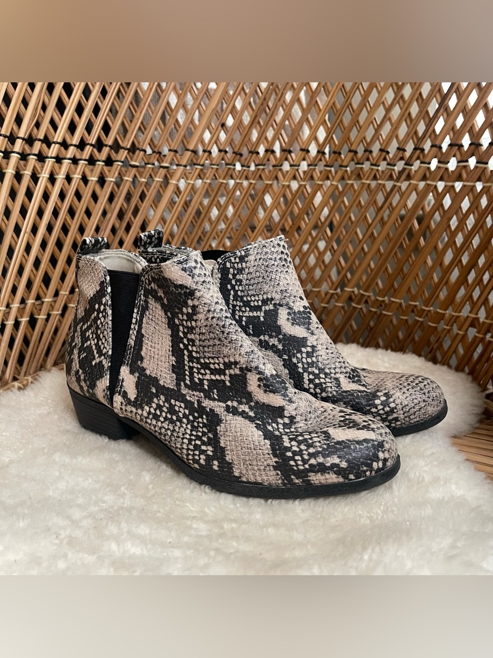 Snake-Print Ankle Booties in Black & Cream